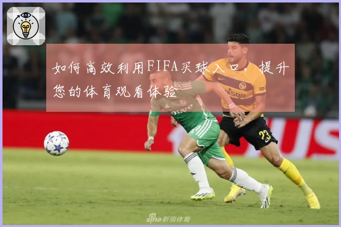 如何高效利用FIFA买球入口，提升您的体育观看体验
