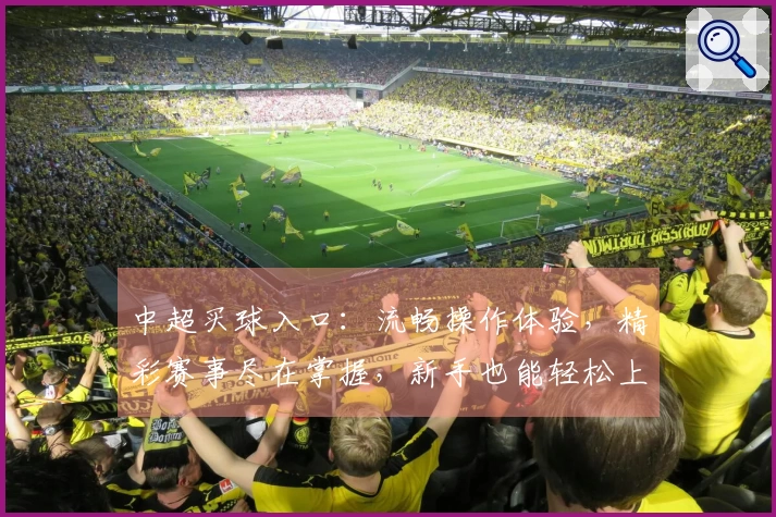 中超买球入口：流畅操作体验，精彩赛事尽在掌握，新手也能轻松上手