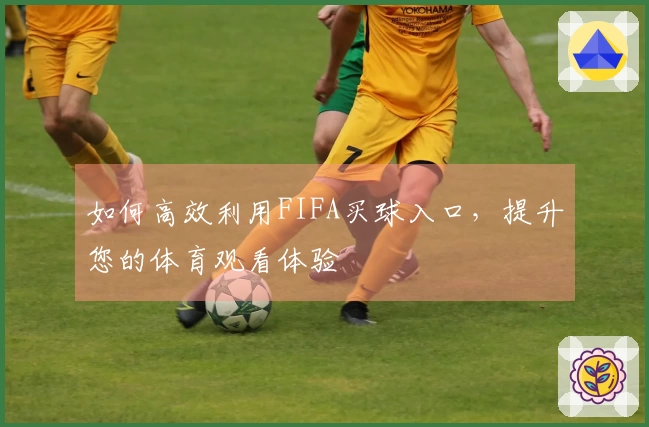 如何高效利用FIFA买球入口，提升您的体育观看体验