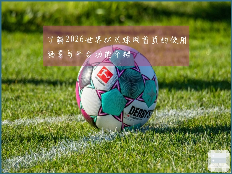 了解2026世界杯买球网首页的使用场景与平台功能介绍
