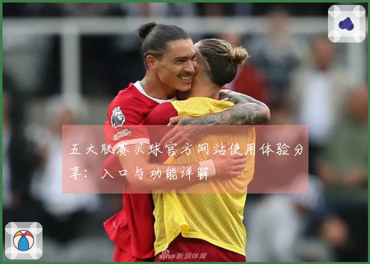 五大联赛买球官方网站使用体验分享：入口与功能详解