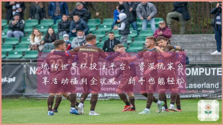 玩转世界杯投注平台，资深玩家分享活动福利全攻略，新手也能轻松上手